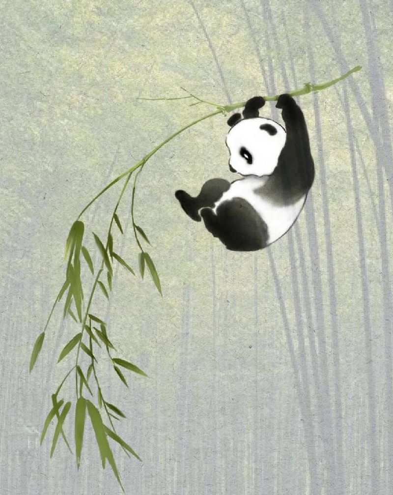 【手稿可约】小熊猫