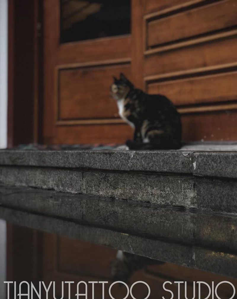 雨后降温要注意保暖哦