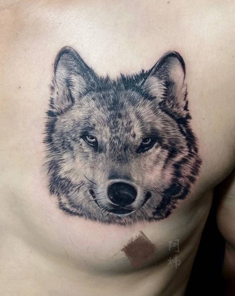 狼纹身图片_胸部肩部欧美写实点刺狼动物纹身图案