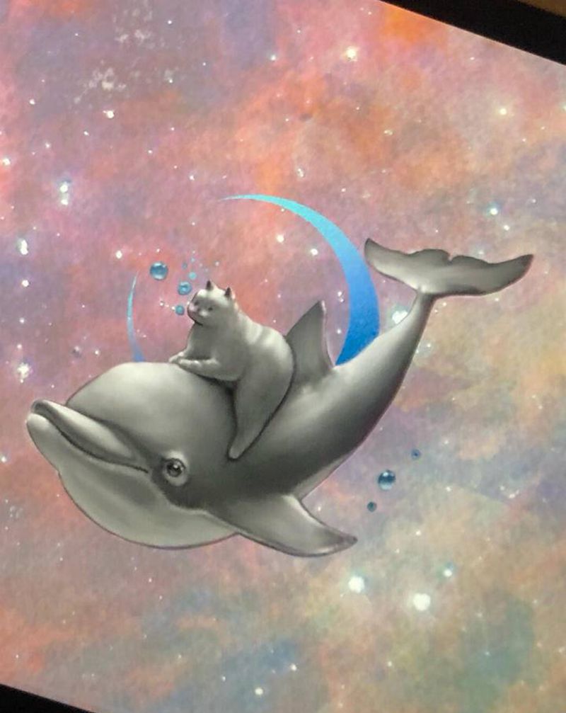 【手稿可约】小海豚