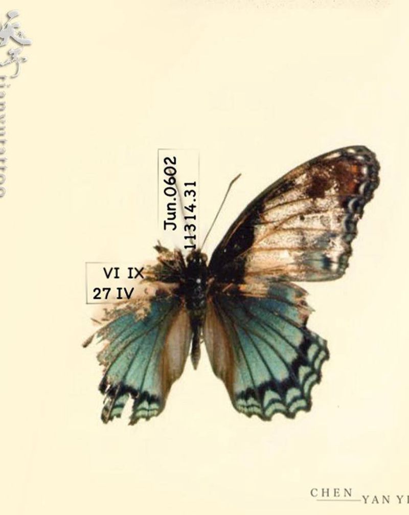 【客稿】蝴蝶字母数字设计纹身图片_水彩水墨纹身图案