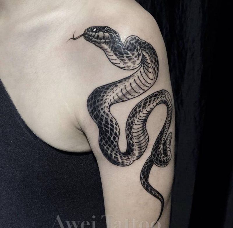 蛇纹身图片_手臂肩部点刺欧美写实蛇纹身图案