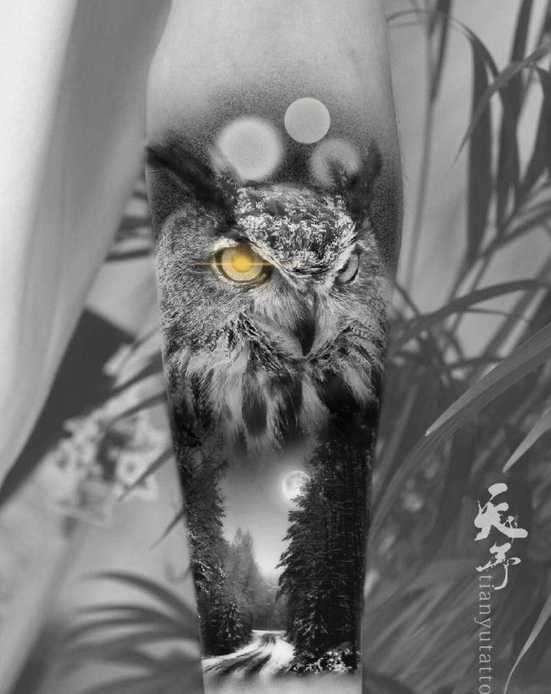 【手稿可约】写实风格猫头鹰