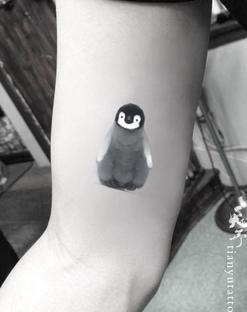 【手稿可约】治愈系小企鹅