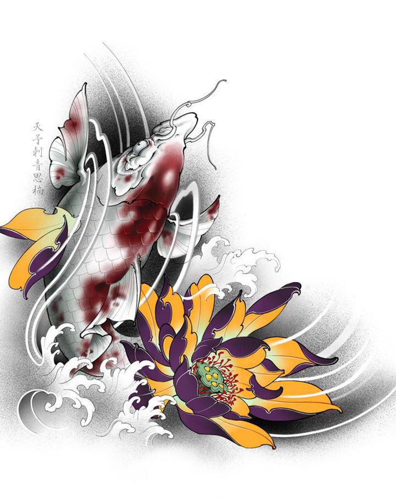 鲤鱼荷花遮盖纹身图片_腹部新传统鲤鱼荷花莲花纹身图案
