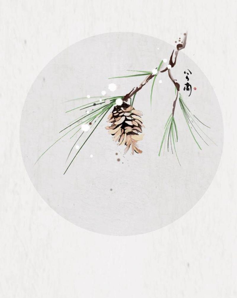 《松塔》纹身图片_肩部腿部水彩水墨松子松树小清新纹身图案