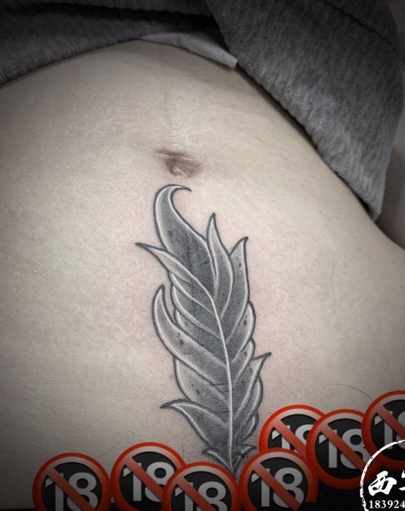 羽毛纹身图片_腹部纹身图案