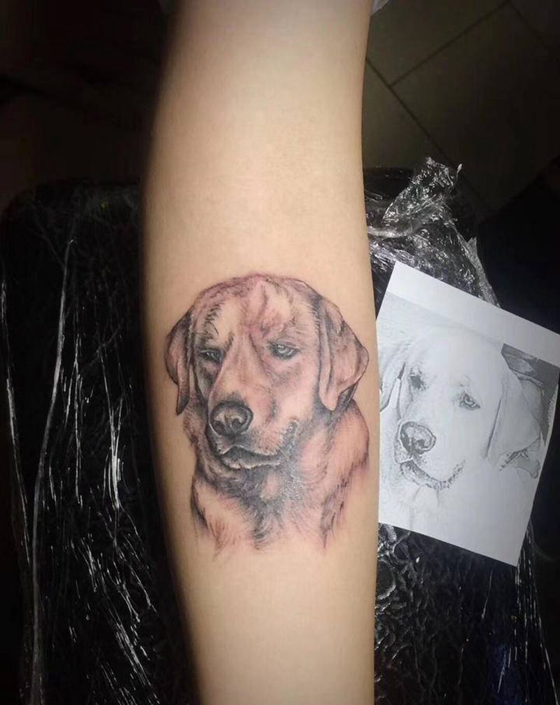 狗狗纹身图片_手臂腿部点刺小清新纹身图案