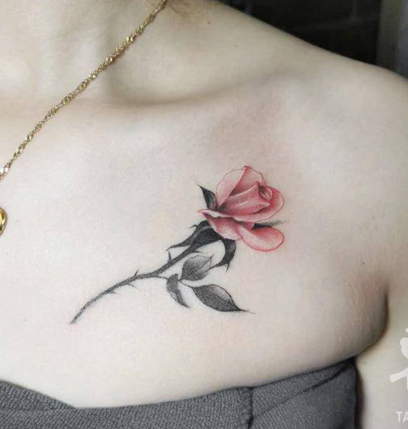 玫瑰纹身图片_胸部肩部水彩纹身图案