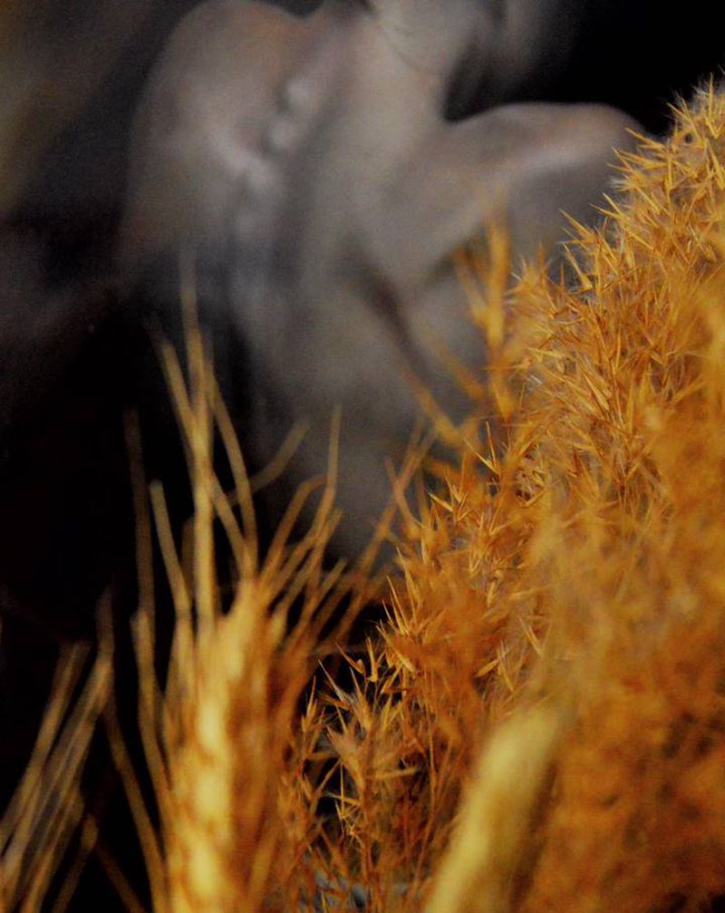 日常纹身图片_日常纹身图案