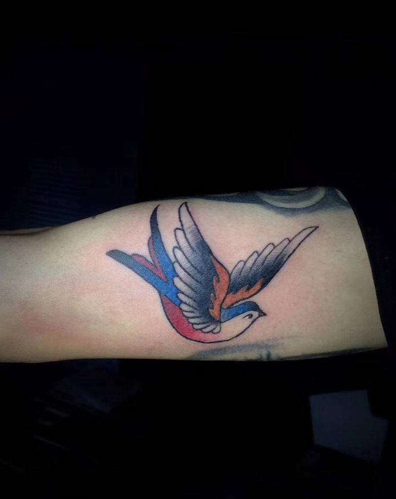 燕子纹身图片_手臂Old School燕子old school纹身图案