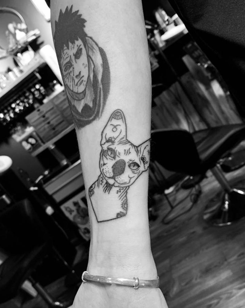猫纹身图片_手臂纹身图案