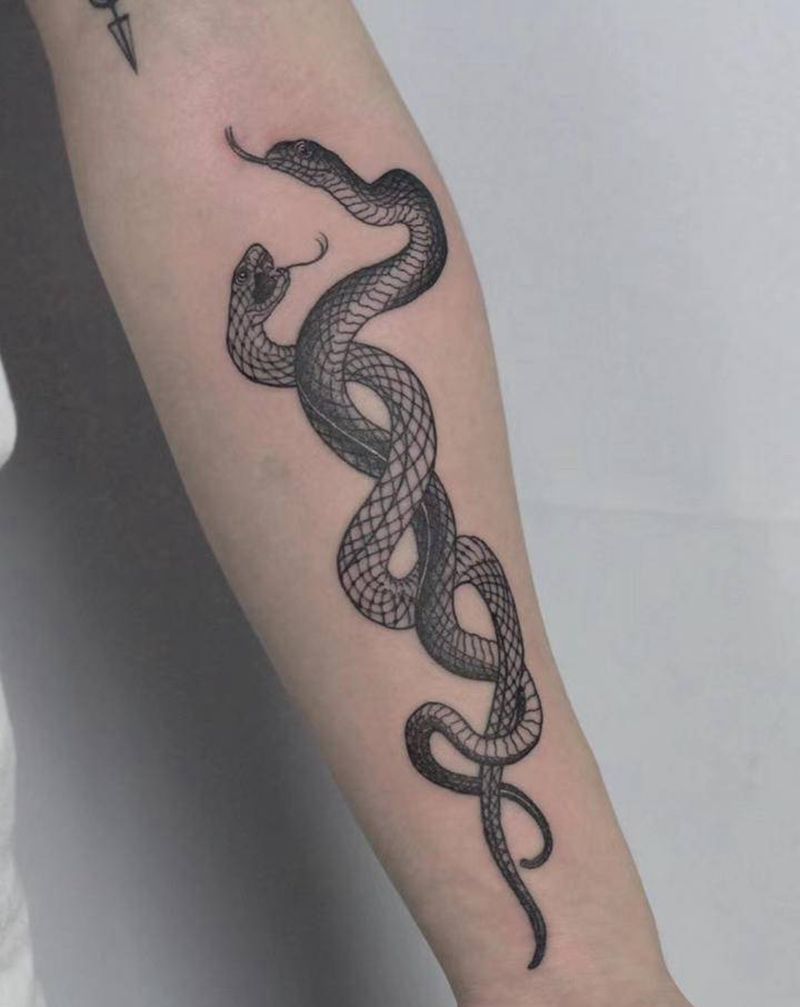 原创双蛇纹身图片_手臂老传统蛇纹身图案