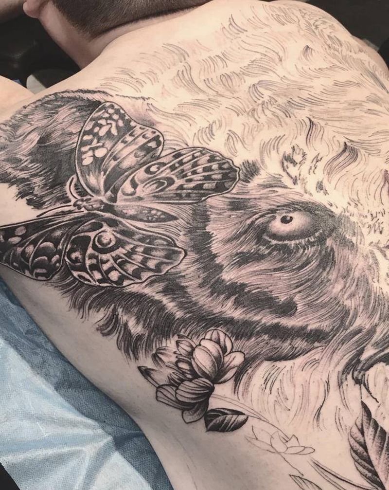 #虎 #蝴蝶 #待續 