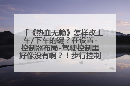 《热血无赖》怎样改上车/下车的键？在设置-控制器布局-驾驶控制里好像没有啊？！步行控制里也没有！我