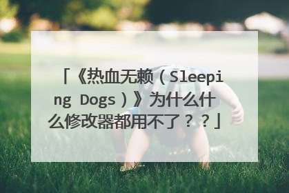 《热血无赖（Sleeping Dogs）》为什么什么修改器都用不了？？