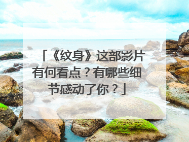 《纹身》这部影片有何看点？有哪些细节感动了你？