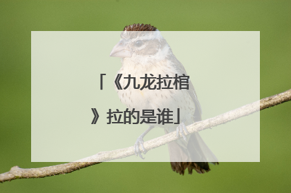 《九龙拉棺》拉的是谁