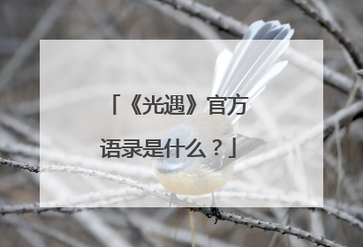 《光遇》官方语录是什么？