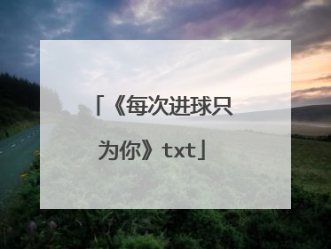 《每次进球只为你》txt
