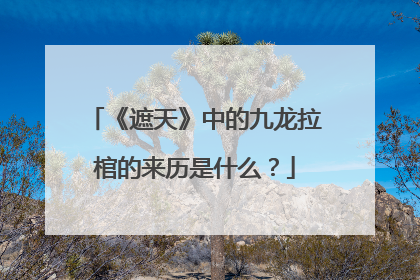 《遮天》中的九龙拉棺的来历是什么？