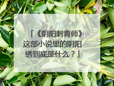 《阴阳刺青师》这部小说里的阴阳绣到底是什么？