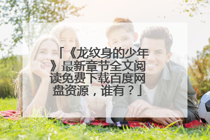 《龙纹身的少年》最新章节全文阅读免费下载百度网盘资源，谁有？