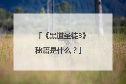 《黑道圣徒3》秘籍是什么？