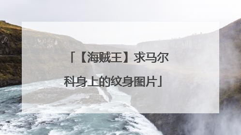 【海贼王】求马尔科身上的纹身图片