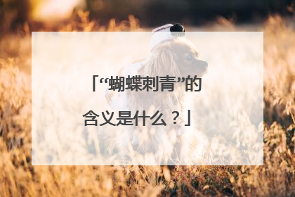 “蝴蝶刺青”的含义是什么？
