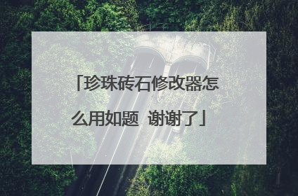 珍珠砖石修改器怎么用如题 谢谢了