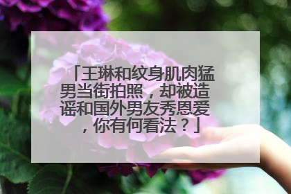 王琳和纹身肌肉猛男当街拍照，却被造谣和国外男友秀恩爱，你有何看法？