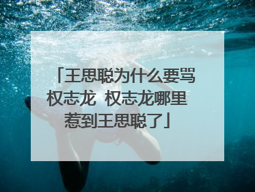 王思聪为什么要骂权志龙 权志龙哪里惹到王思聪了