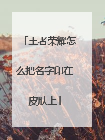 王者荣耀怎么把名字印在皮肤上