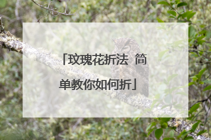 玟瑰花折法 简单教你如何折