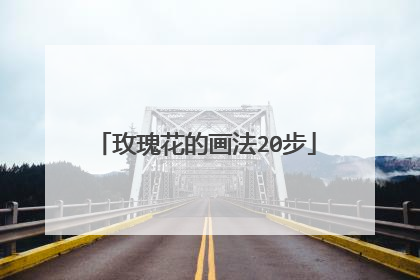 玫瑰花的画法20步