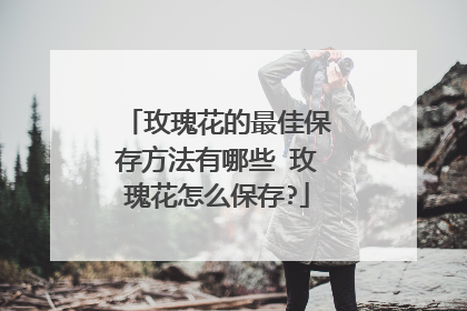 玫瑰花的最佳保存方法有哪些 玫瑰花怎么保存?