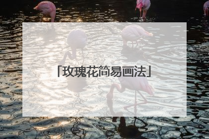 玫瑰花简易画法