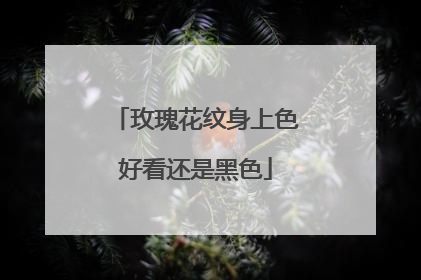 玫瑰花纹身上色好看还是黑色