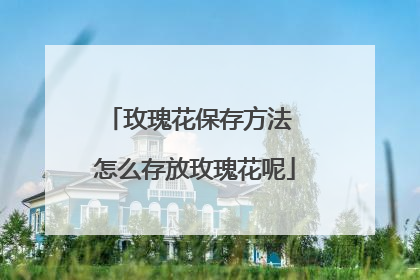 玫瑰花保存方法 怎么存放玫瑰花呢