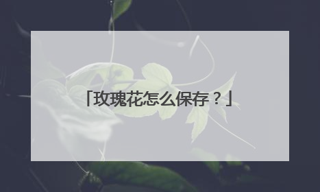玫瑰花怎么保存？