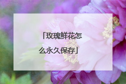 玫瑰鲜花怎么永久保存