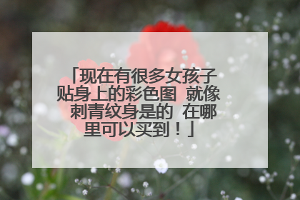 现在有很多女孩子 贴身上的彩色图 就像 刺青纹身是的 在哪里可以买到！