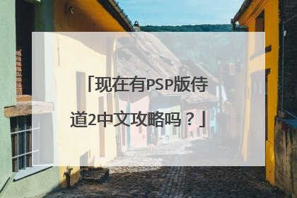 现在有PSP版侍道2中文攻略吗？