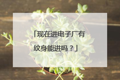 现在进电子厂有纹身能进吗？