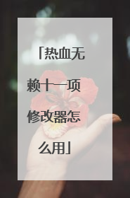 热血无赖十一项修改器怎么用