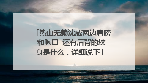 热血无赖沈威两边肩膀 和胸口 还有后背的纹身是什么，详细说下
