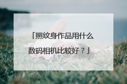照纹身作品用什么数码相机比较好？