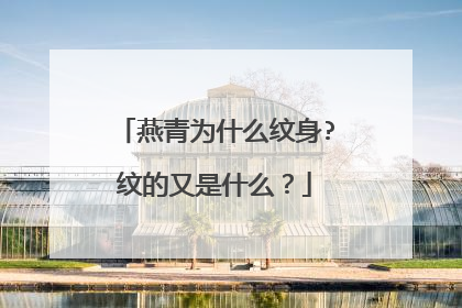 燕青为什么纹身?纹的又是什么？