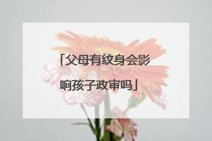 父母有纹身会影响孩子政审吗